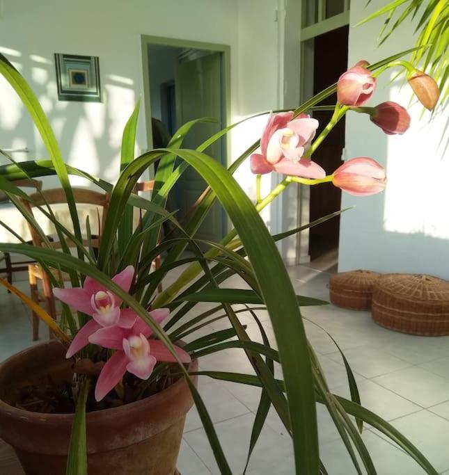 Bienvenue Au Gite De Claret Casseneuil Ngoại thất bức ảnh